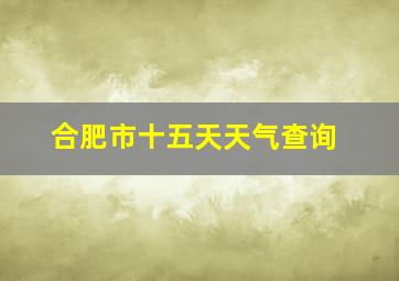 合肥市十五天天气查询