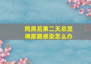 同房后第二天总觉得尿路感染怎么办