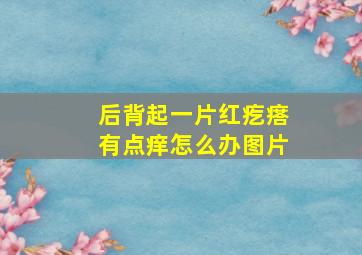 后背起一片红疙瘩有点痒怎么办图片