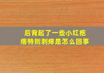 后背起了一些小红疙瘩特别刺痒是怎么回事