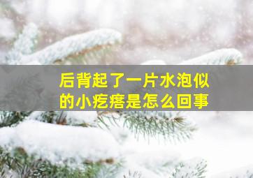 后背起了一片水泡似的小疙瘩是怎么回事