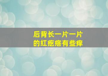 后背长一片一片的红疙瘩有些痒