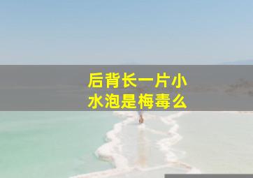 后背长一片小水泡是梅毒么