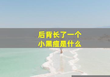 后背长了一个小黑痘是什么