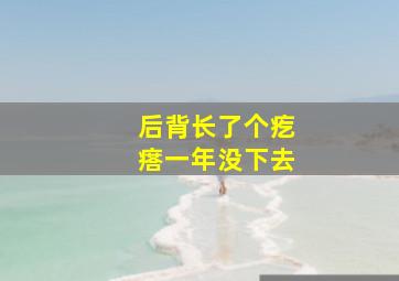 后背长了个疙瘩一年没下去