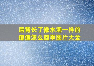 后背长了像水泡一样的痘痘怎么回事图片大全