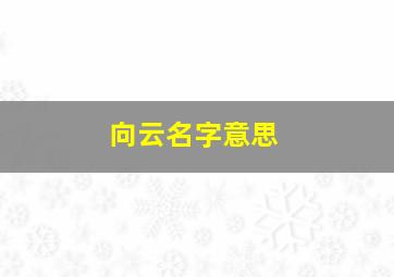 向云名字意思