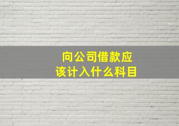 向公司借款应该计入什么科目