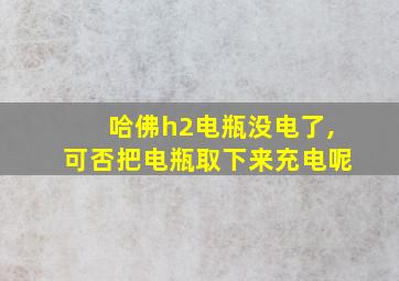 哈佛h2电瓶没电了,可否把电瓶取下来充电呢