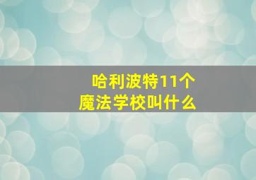 哈利波特11个魔法学校叫什么