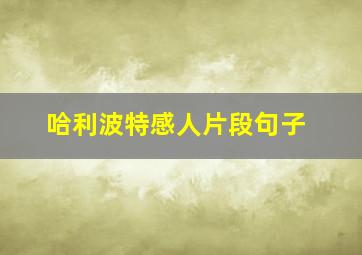 哈利波特感人片段句子