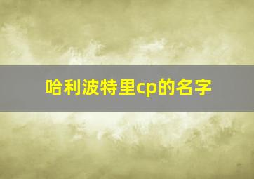 哈利波特里cp的名字