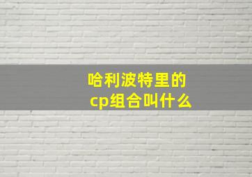 哈利波特里的cp组合叫什么