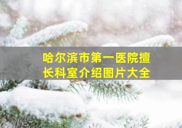 哈尔滨市第一医院擅长科室介绍图片大全