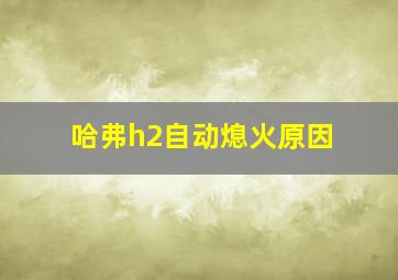 哈弗h2自动熄火原因