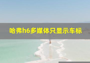 哈弗h6多媒体只显示车标