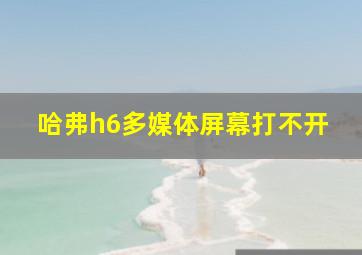 哈弗h6多媒体屏幕打不开