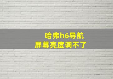 哈弗h6导航屏幕亮度调不了