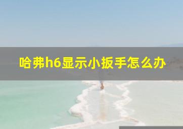 哈弗h6显示小扳手怎么办