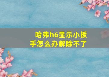 哈弗h6显示小扳手怎么办解除不了