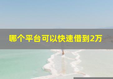 哪个平台可以快速借到2万