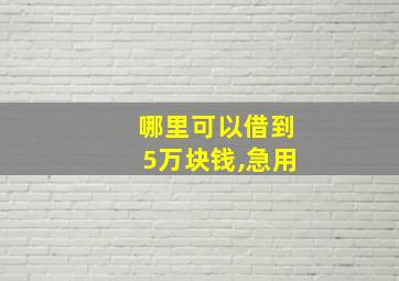 哪里可以借到5万块钱,急用