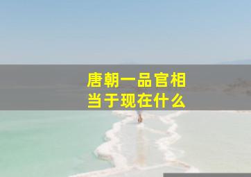 唐朝一品官相当于现在什么