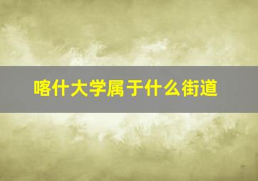 喀什大学属于什么街道