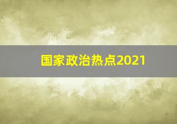 国家政治热点2021