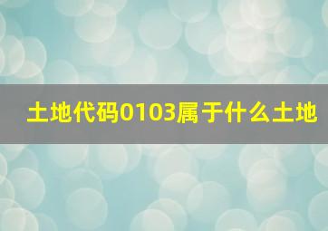 土地代码0103属于什么土地