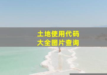 土地使用代码大全图片查询