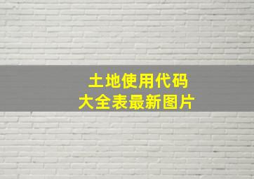 土地使用代码大全表最新图片