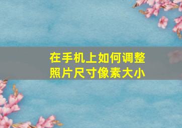 在手机上如何调整照片尺寸像素大小