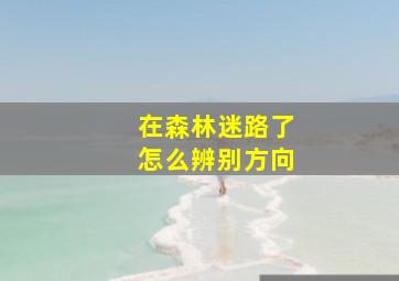 在森林迷路了怎么辨别方向