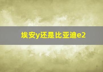 埃安y还是比亚迪e2