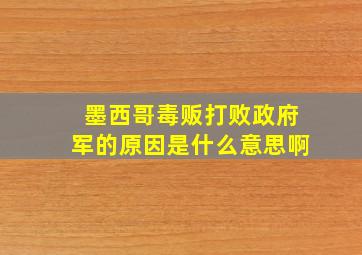 墨西哥毒贩打败政府军的原因是什么意思啊