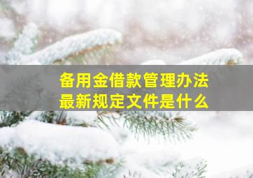 备用金借款管理办法最新规定文件是什么