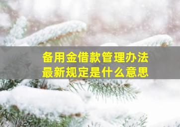 备用金借款管理办法最新规定是什么意思