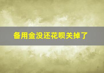 备用金没还花呗关掉了