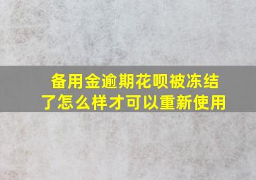 备用金逾期花呗被冻结了怎么样才可以重新使用