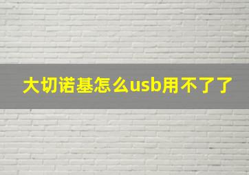 大切诺基怎么usb用不了了