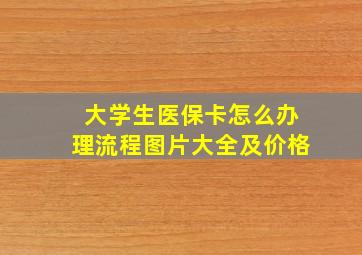 大学生医保卡怎么办理流程图片大全及价格