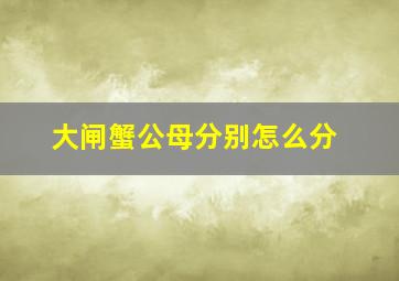 大闸蟹公母分别怎么分