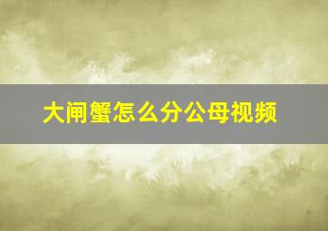 大闸蟹怎么分公母视频