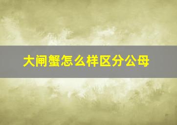 大闸蟹怎么样区分公母