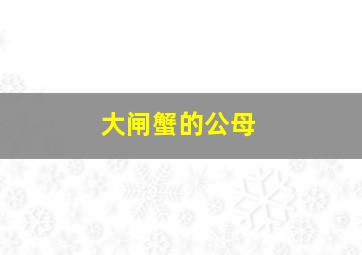 大闸蟹的公母