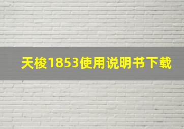 天梭1853使用说明书下载