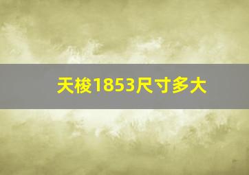 天梭1853尺寸多大