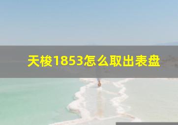 天梭1853怎么取出表盘