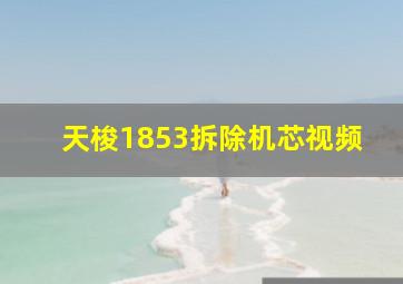 天梭1853拆除机芯视频